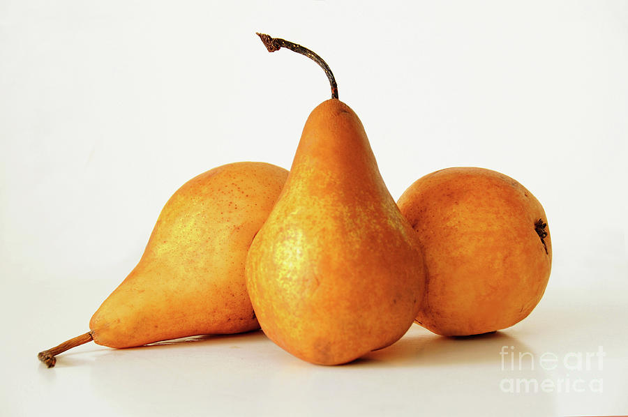 Bosc Pears On Green – JacquelineCornette