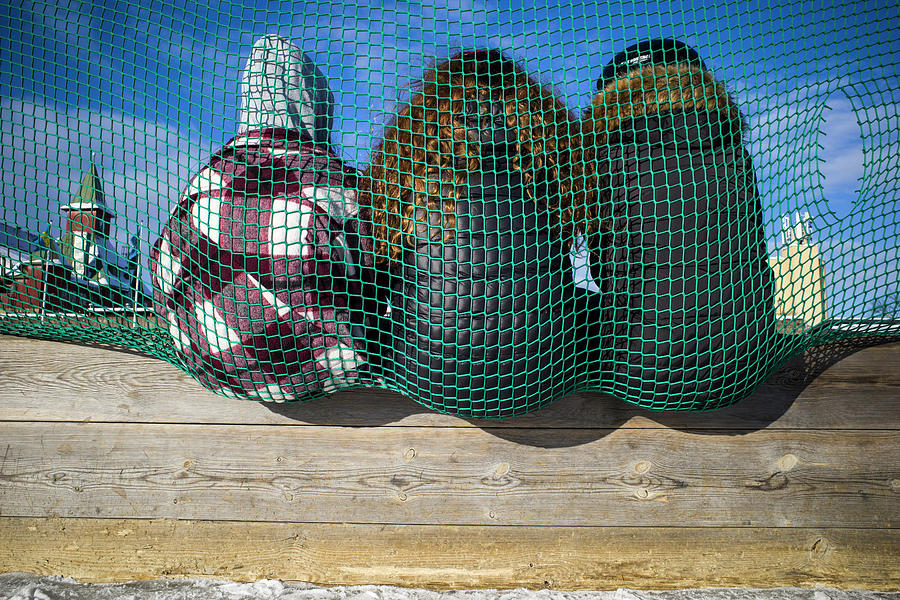 Three peas in  a pod Photograph by Alexander Farnsworth