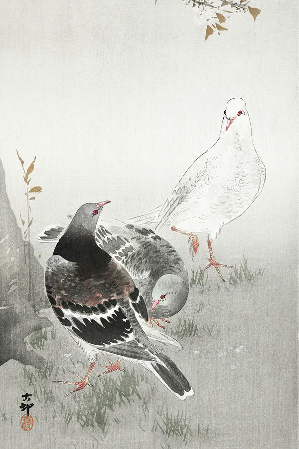 Ohara Koson Painting - Three pigeons by Ohara Koson