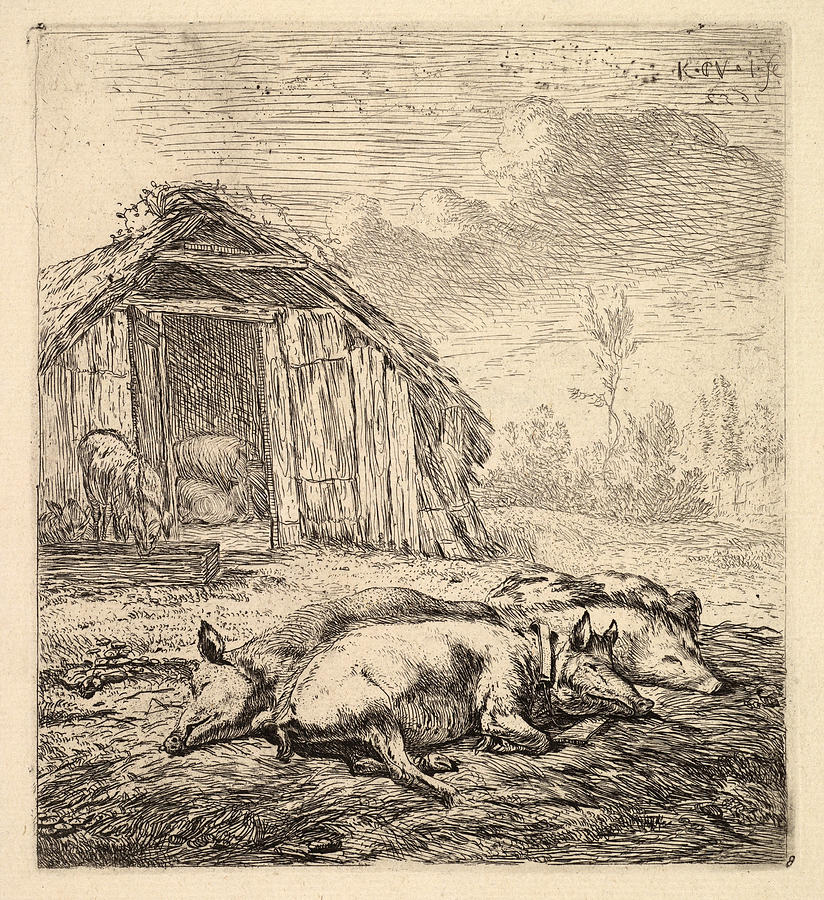 Three pigs lying on their sides, a pigsty and trough beyond Drawing by Karel Dujardin
