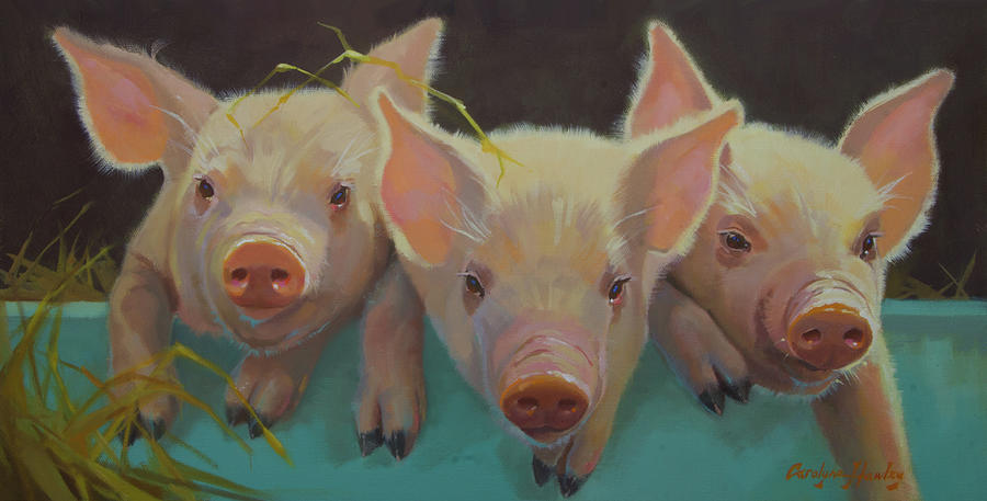 Three Pigs on Turquoise Painting by Carolyne Hawley