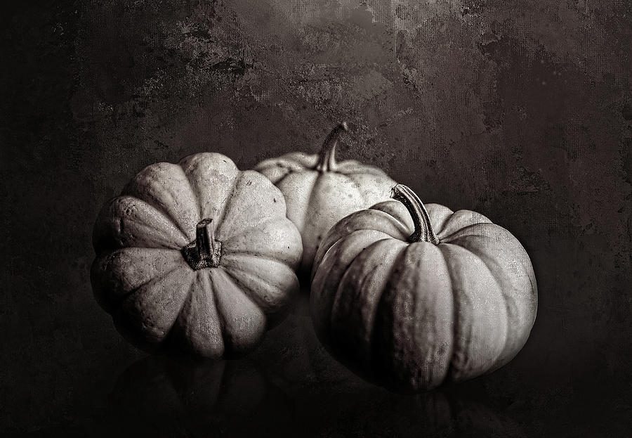 Three Pumpkins in Black and White Digital Art by Cindy Collier Harris