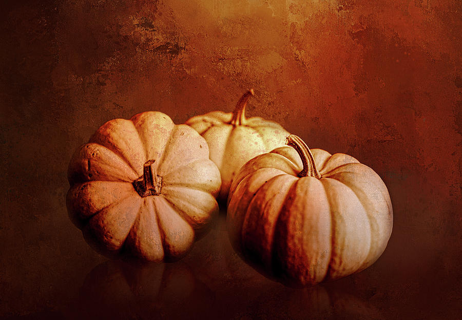 Three Pumpkins in Color Digital Art by Cindy Collier Harris