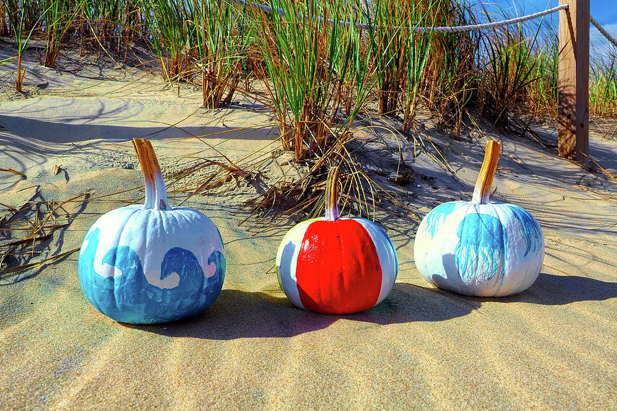 Three Pumpkins on a Dune Photograph by Bill Swartwout