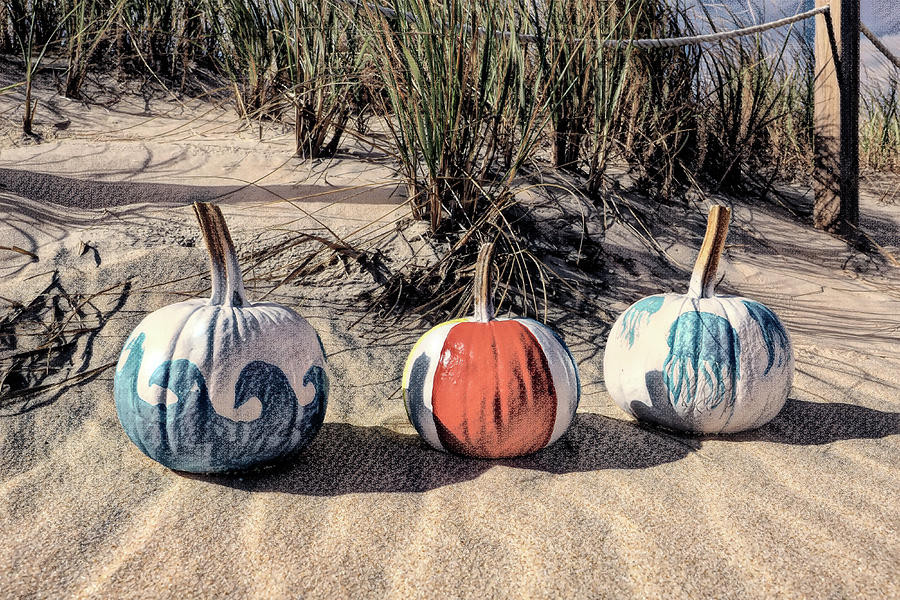 Three Pumpkins on a Dune Charcoal Sketch Photograph by Bill Swartwout