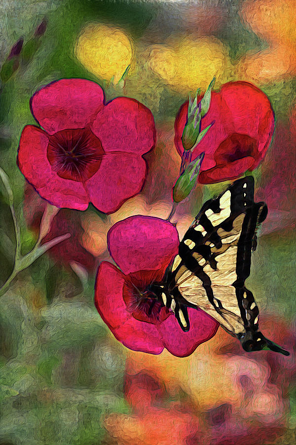 Three Red Flax and Butterfly Photograph by Vanessa Thomas