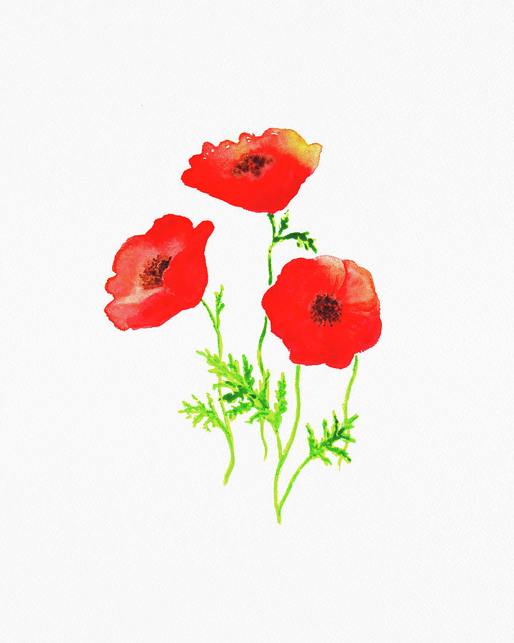 Three Red Poppy Flowers Watercolor On White Paper Floral Art Minimalism  Painting by Irina Sztukowski
