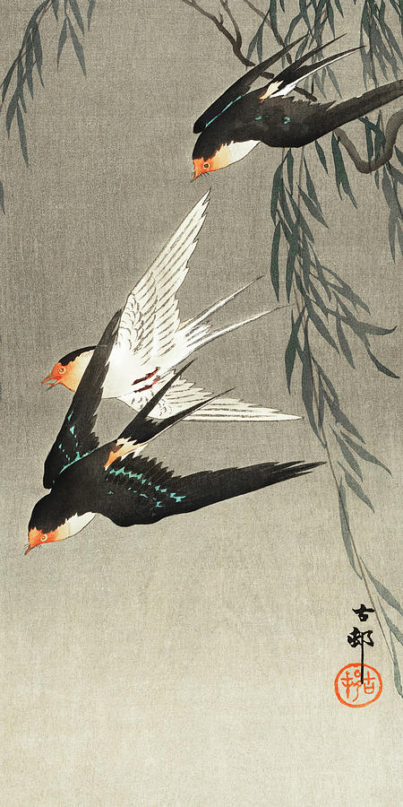 Ohara Koson Painting - Three red-tailed swallows in dive by Ohara Koson