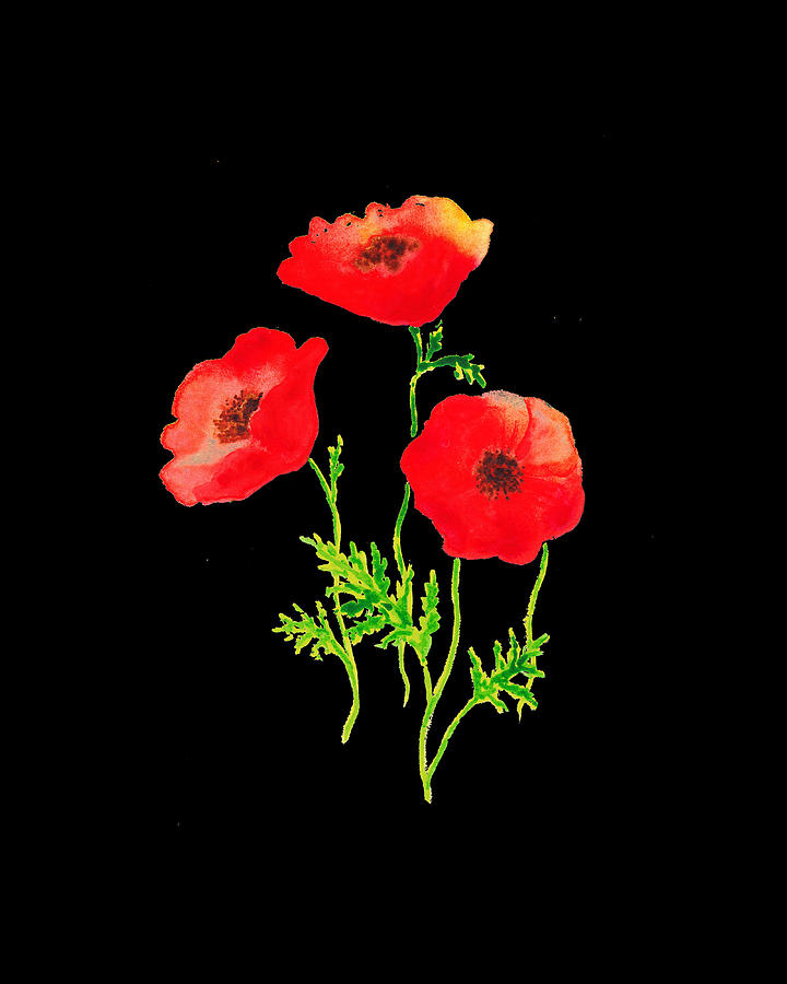Three Red Watercolor Poppy Flowers Floral Art Minimalism PNG  Painting by Irina Sztukowski