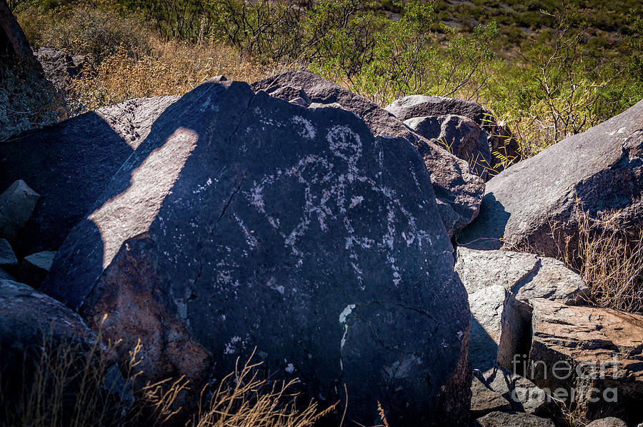 Three Rivers Petroglyphs #10 Photograph by Blake Webster