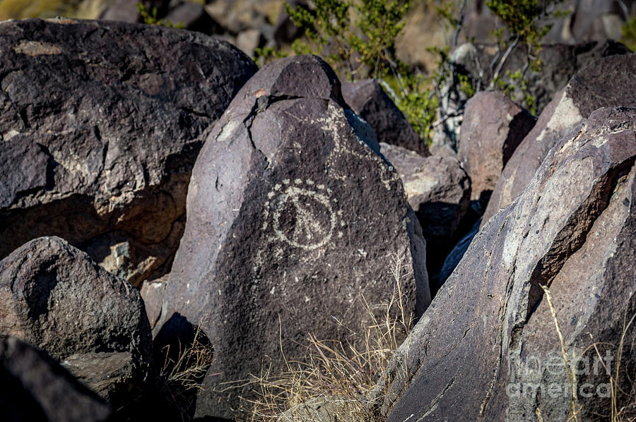 Three Rivers Petroglyphs #11 Photograph by Blake Webster