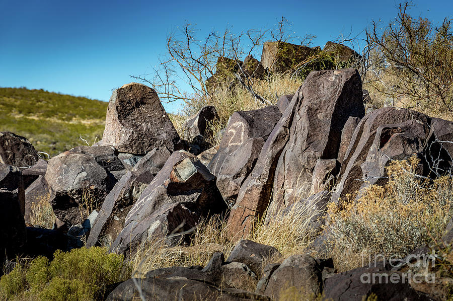 Three Rivers Petroglyphs #12 Photograph by Blake Webster