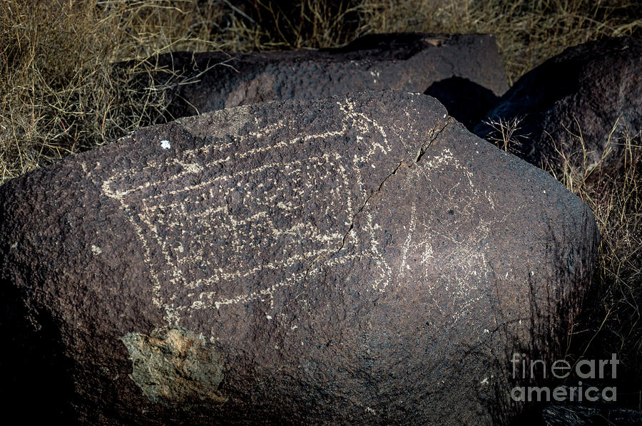 Three Rivers Petroglyphs #13 Photograph by Blake Webster
