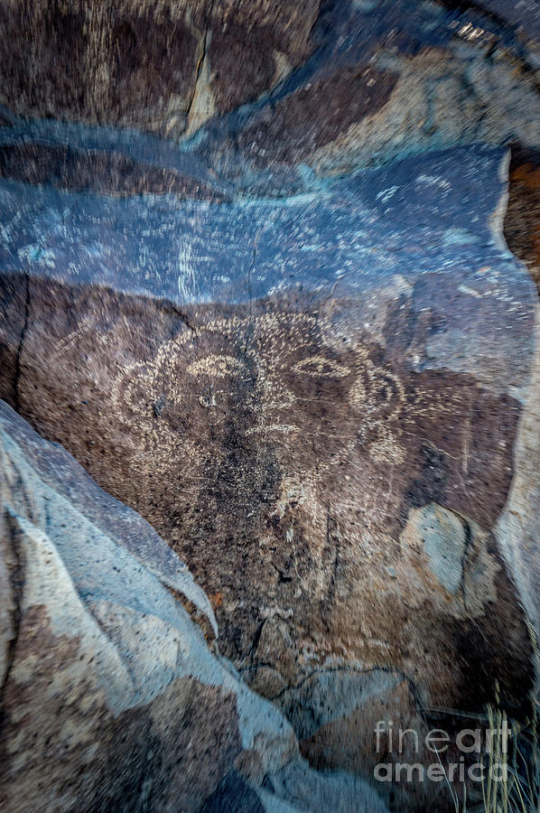 Three Rivers Petroglyphs #14 Photograph by Blake Webster