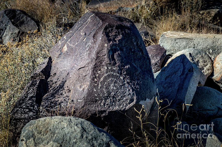 Three Rivers Petroglyphs #15 Photograph by Blake Webster