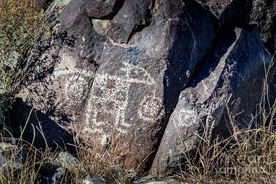 Three Rivers Petroglyphs #16 Photograph by Blake Webster