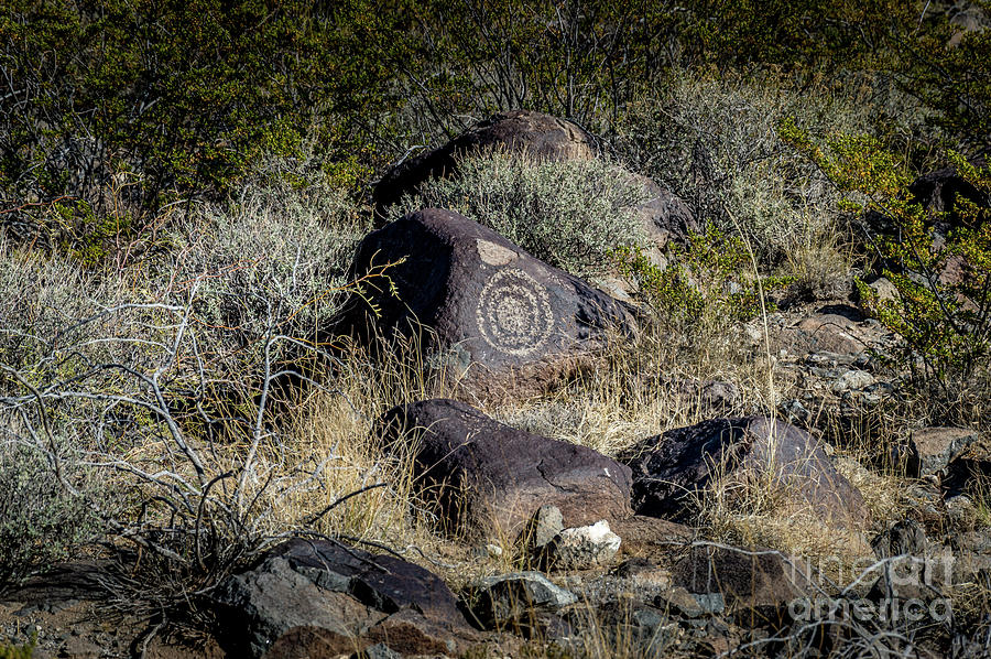 Three Rivers Petroglyphs #17 Photograph by Blake Webster