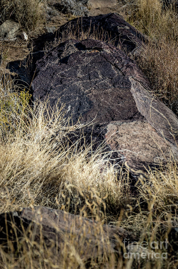 Three Rivers Petroglyphs #18 Photograph by Blake Webster