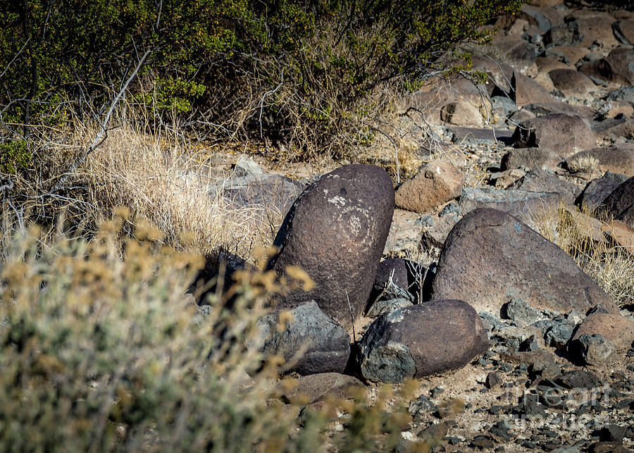 Three Rivers Petroglyphs #20 Photograph by Blake Webster