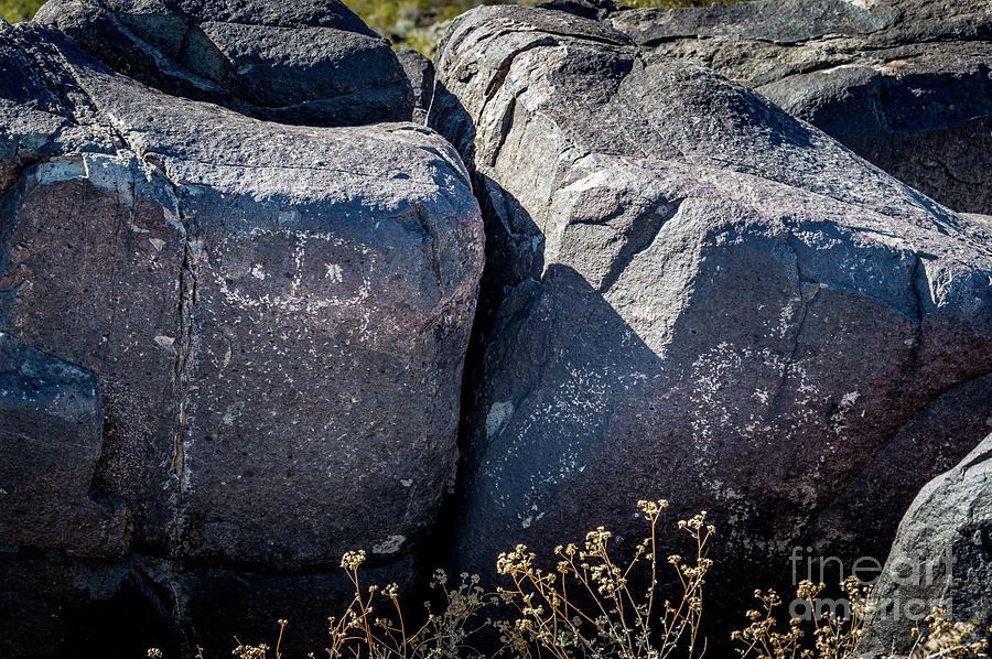 Three Rivers Petroglyphs #21 Photograph by Blake Webster