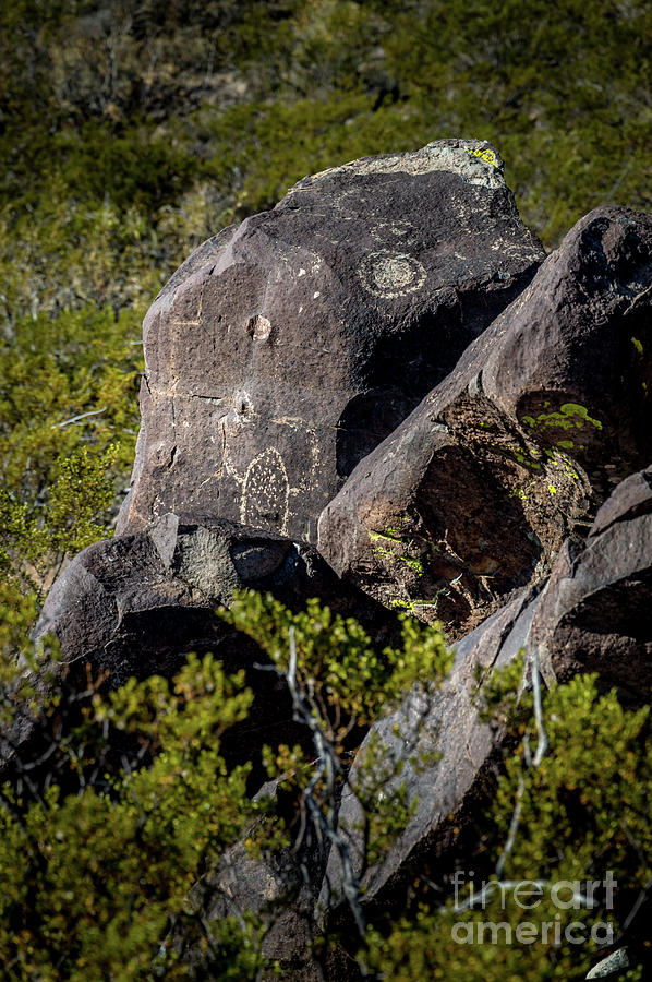Three Rivers Petroglyphs #22 Photograph by Blake Webster