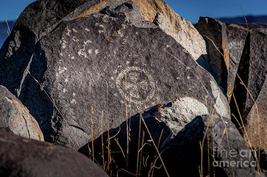 Three Rivers Petroglyphs #23 Photograph by Blake Webster