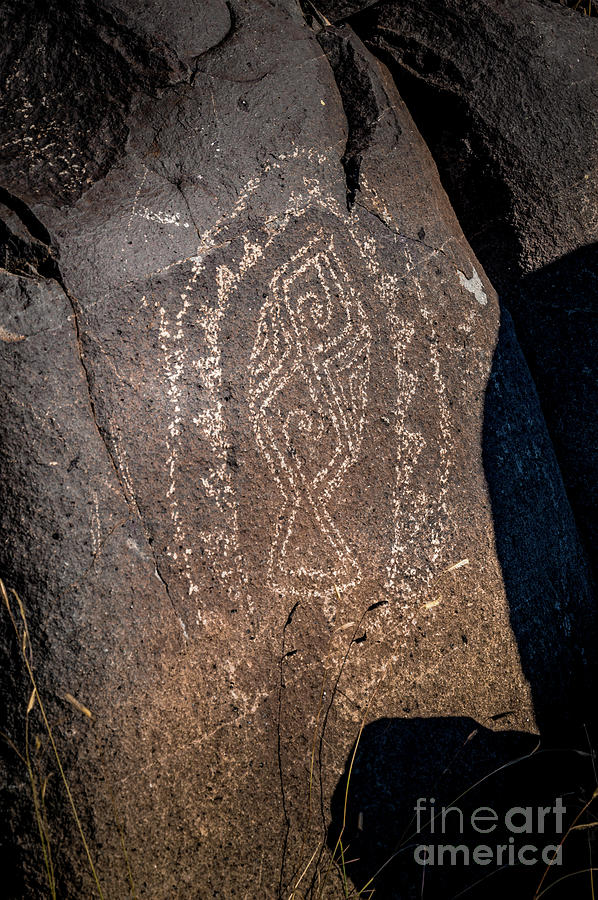 Three Rivers Petroglyphs #24 Photograph by Blake Webster