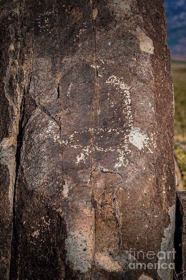 Three Rivers Petroglyphs #26 Photograph by Blake Webster