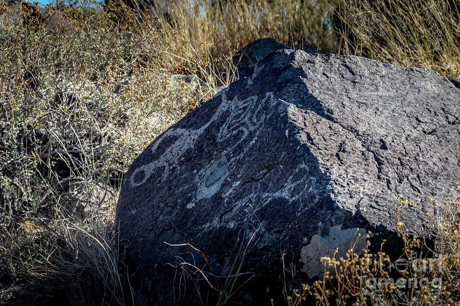 Three Rivers Petroglyphs #27 Photograph by Blake Webster