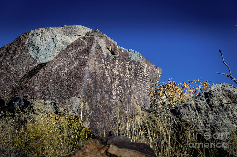 Three Rivers Petroglyphs #28 Photograph by Blake Webster
