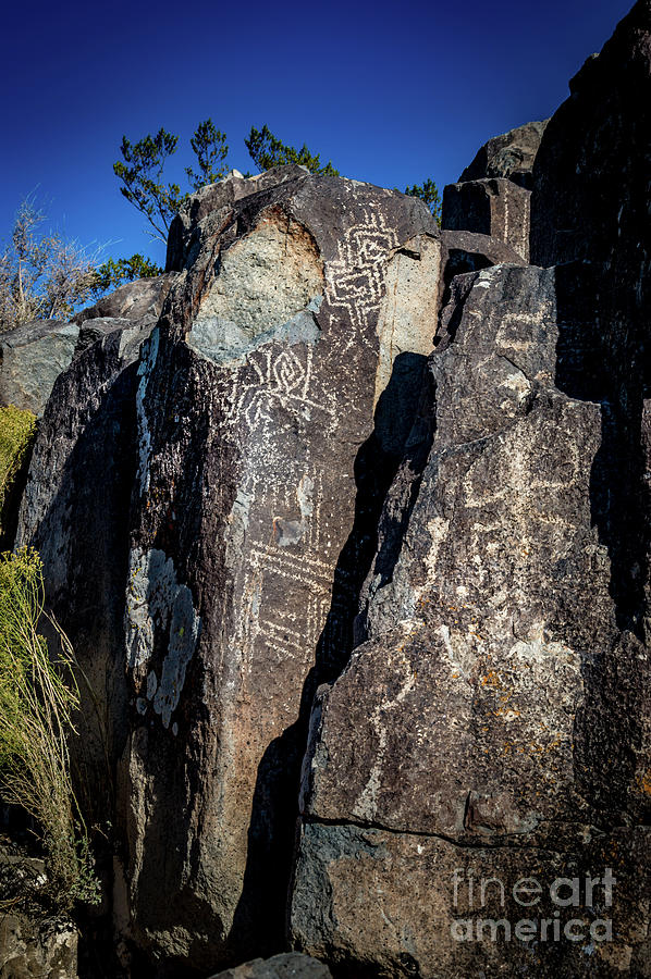 Three Rivers Petroglyphs #29 Photograph by Blake Webster