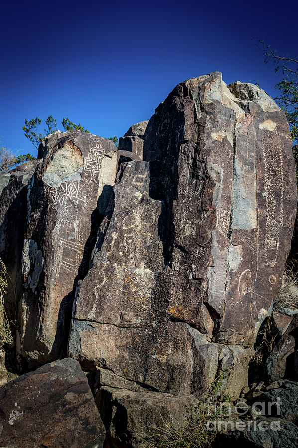 Three Rivers Petroglyphs #30 Photograph by Blake Webster