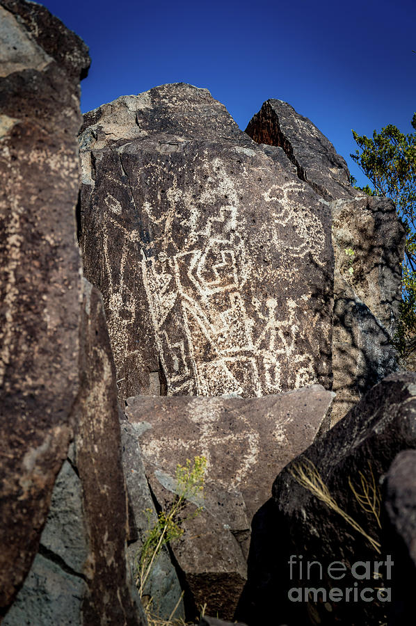 Three Rivers Petroglyphs #31 Photograph by Blake Webster
