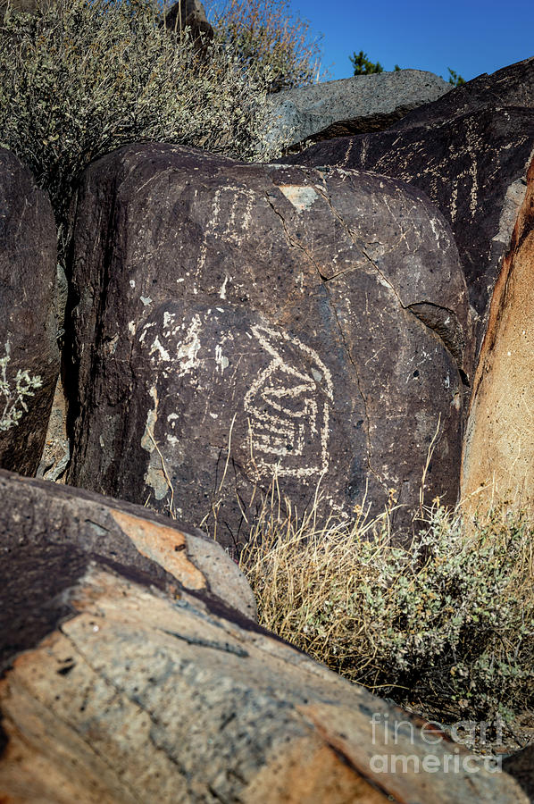 Three Rivers Petroglyphs #33 Photograph by Blake Webster