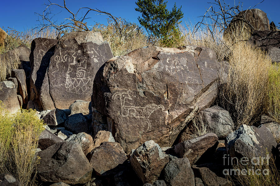 Three Rivers Petroglyphs #34 Photograph by Blake Webster