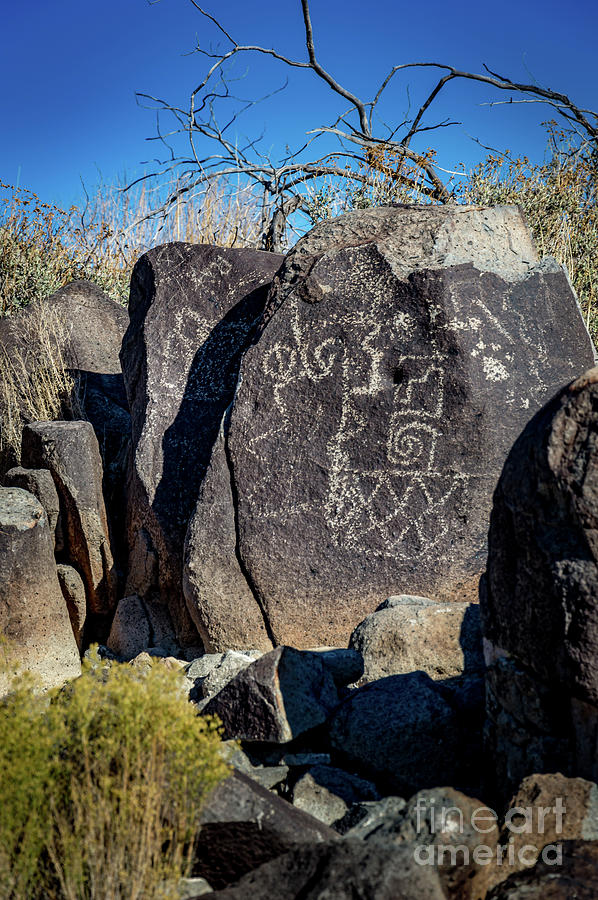 Three Rivers Petroglyphs #36 Photograph by Blake Webster