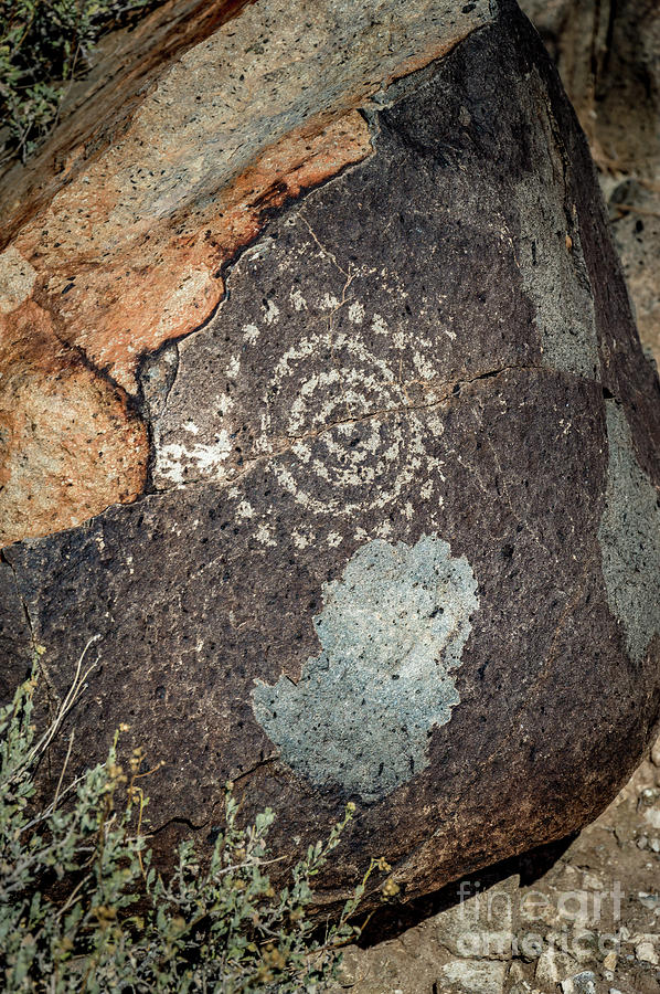 Three Rivers Petroglyphs #37 Photograph by Blake Webster
