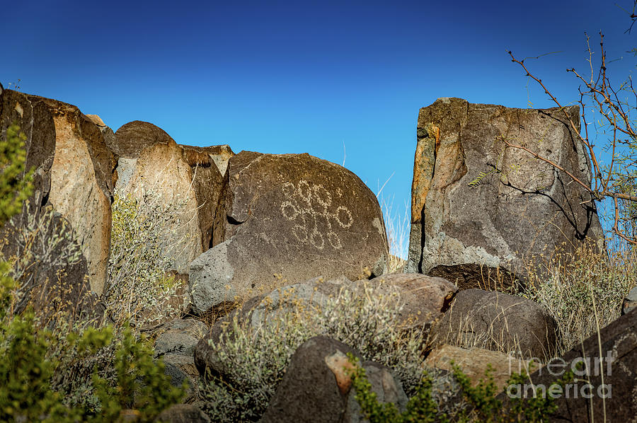 Three Rivers Petroglyphs #39 Photograph by Blake Webster