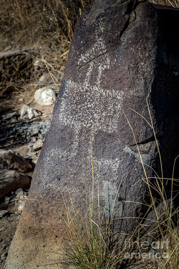 Three Rivers Petroglyphs #40 Photograph by Blake Webster