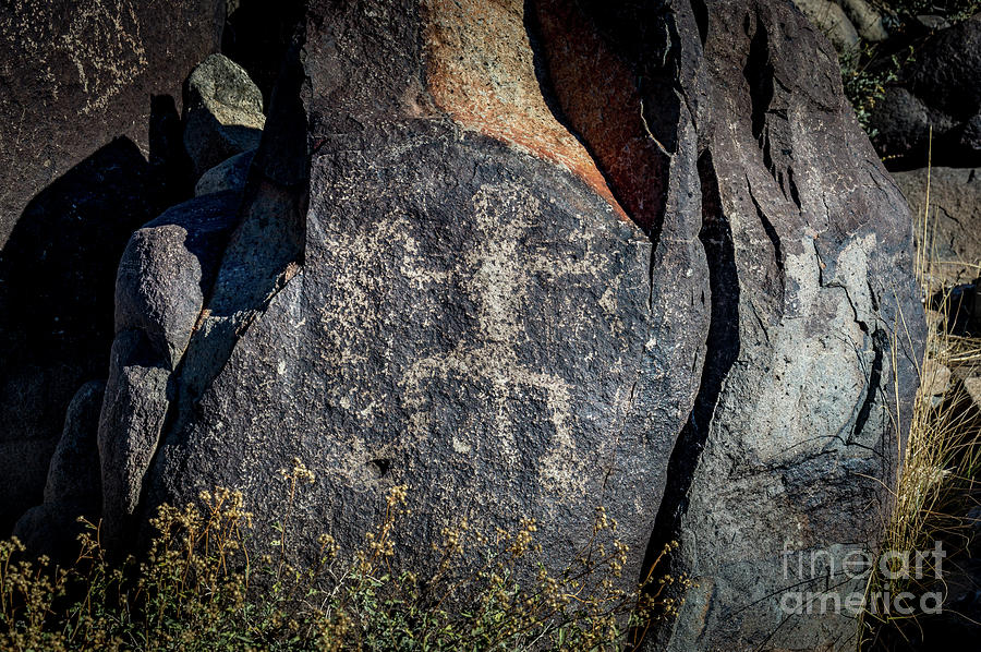Three Rivers Petroglyphs #5 Photograph by Blake Webster