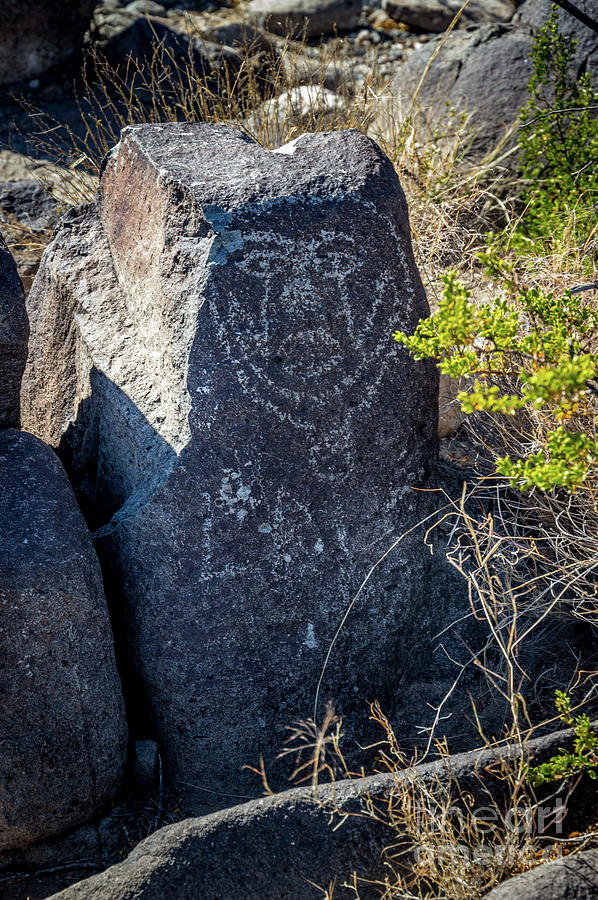 Three Rivers Petroglyphs #6 Photograph by Blake Webster