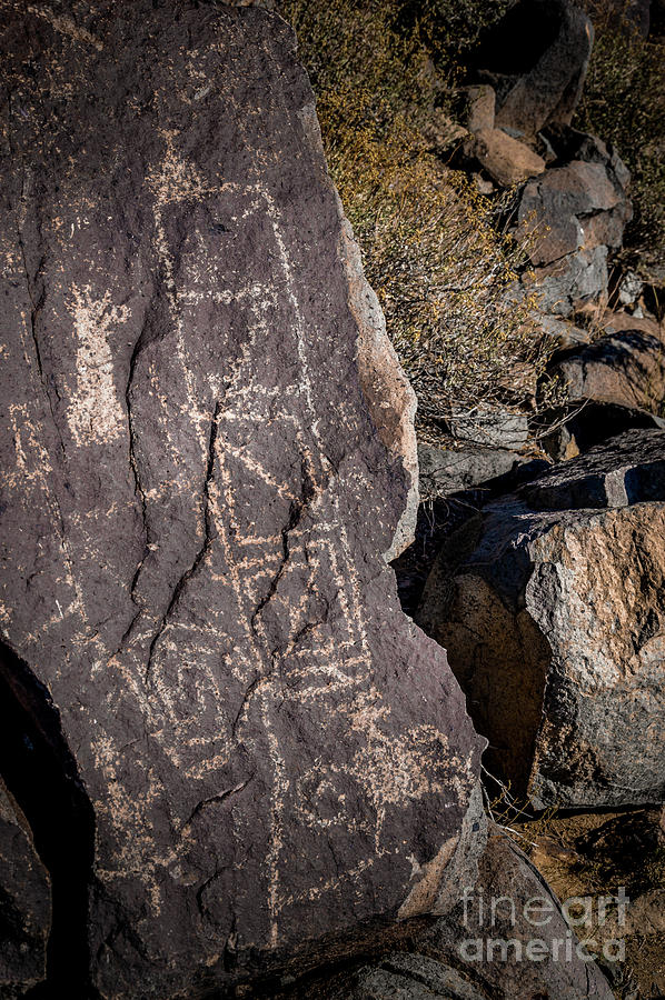 Three Rivers Petroglyphs #7 Photograph by Blake Webster