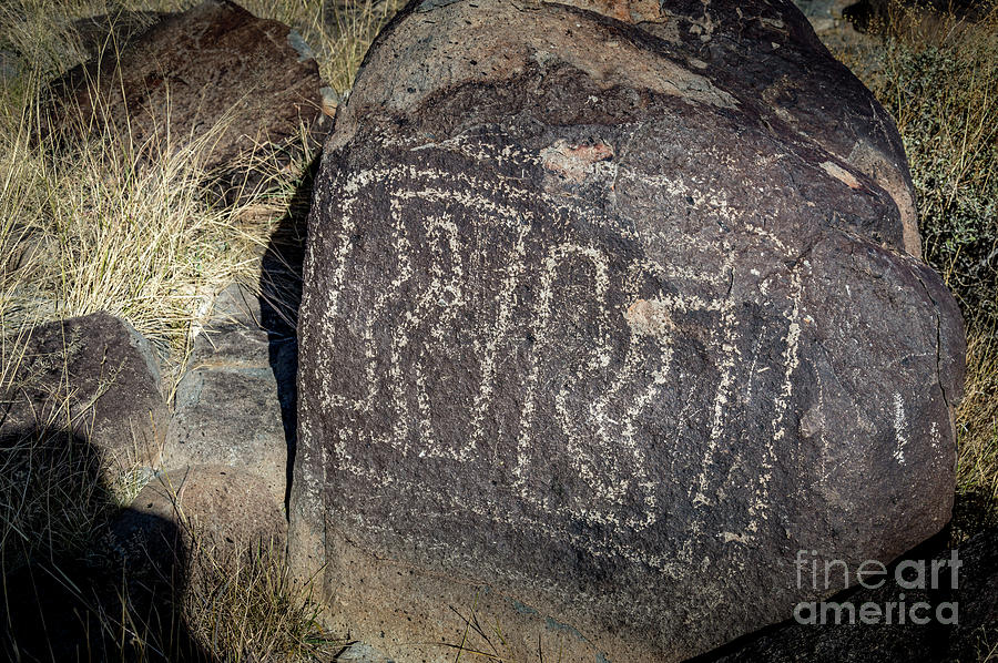 Three Rivers Petroglyphs #8 Photograph by Blake Webster