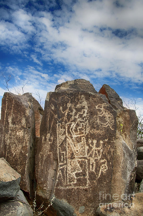 Three Rivers Petroglyphs New Mexico 14 Photograph by Bob Christopher