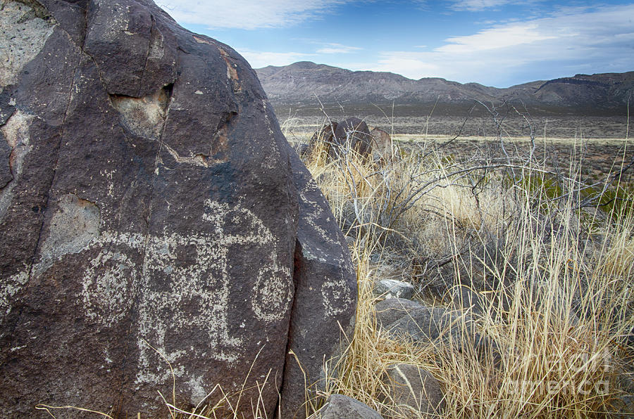 Three Rivers Petroglyphs New Mexico 15 Photograph by Bob Christopher