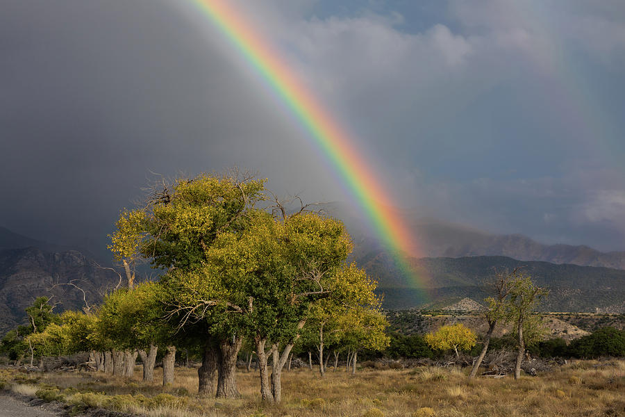 Three Rivers Rainbow Photograph by Kathleen Bishop