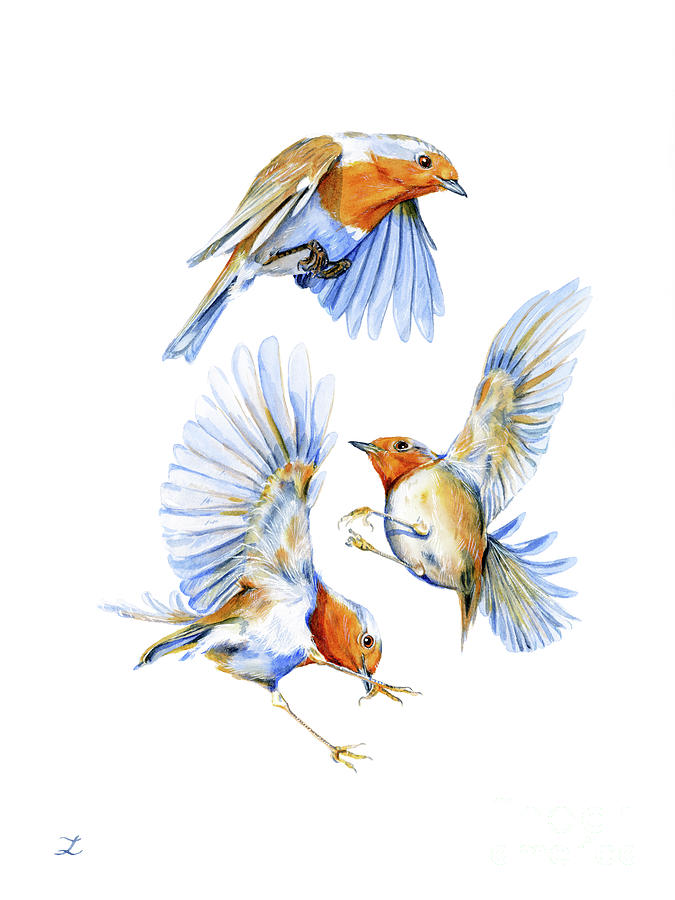 Three Robins Painting by Zaira Dzhaubaeva