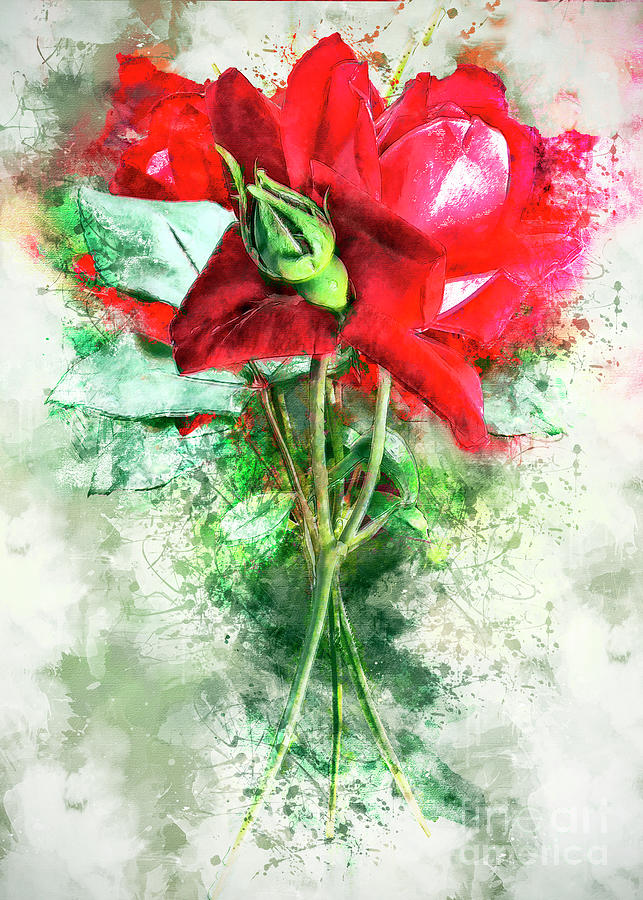 Three Roses Digital Art by Anthony Ellis
