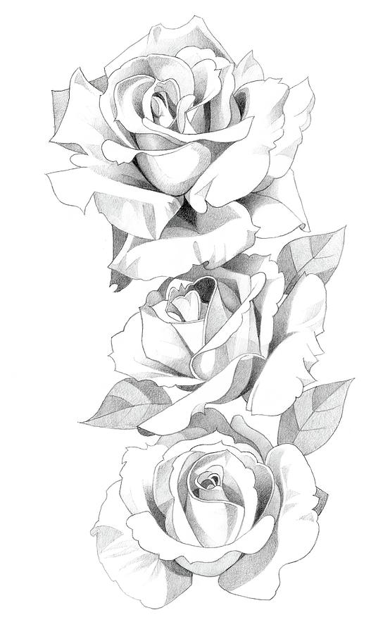Three roses. Cut files for Cricut. Clip Art silhouettes (eps, svg, pdf,  png, dxf, jpeg). - So Fontsy