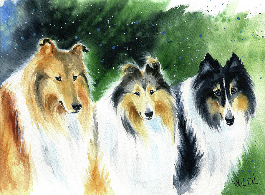 Three Rough Collies Dog Painting Painting by Dora Hathazi Mendes